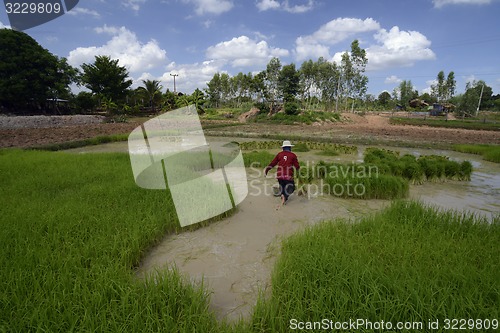 Image of ASIA THAILAND ISAN AMNAT CHAROEN