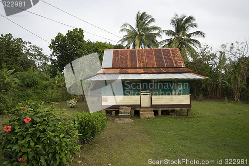 Image of native house with tin roof