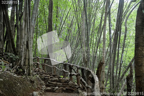Image of ASIA THAILAND MAE HONG SON 