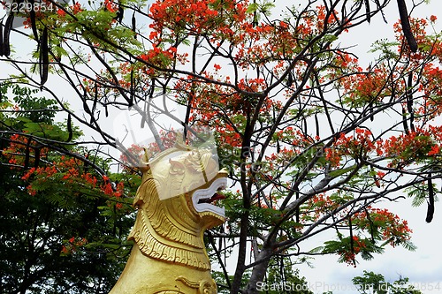 Image of ASIA THAILAND MAE HONG SON 
