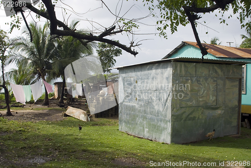 Image of sheet metal house and yard caribbean