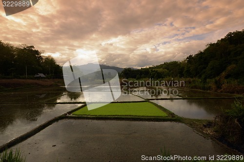 Image of ASIA THAILAND MAE HONG SON 