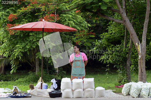 Image of ASIA THAILAND MAE HONG SON 