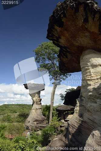 Image of ASIA THAILAND ISAN UBON RATCHATHANI