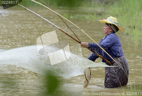 Image of ASIA THAILAND ISAN AMNAT CHAROEN