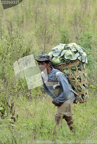 Image of ASIA THAILAND MAE HONG SON 