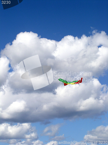 Image of kite on the sky
