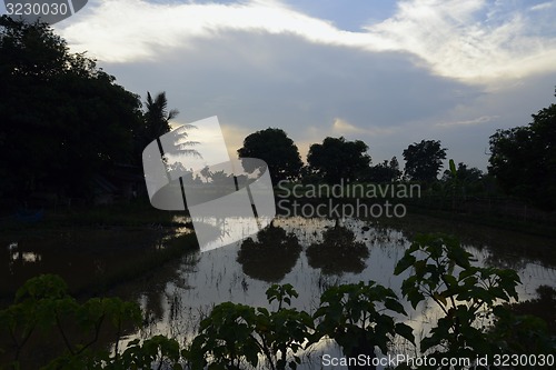 Image of ASIA THAILAND ISAN AMNAT CHAROEN