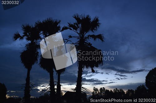 Image of ASIA THAILAND ISAN AMNAT CHAROEN