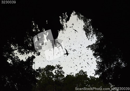 Image of ASIA THAILAND MAE HONG SON SOPPONG