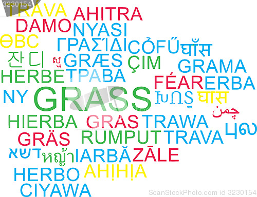Image of Grass multilanguage wordcloud background concept