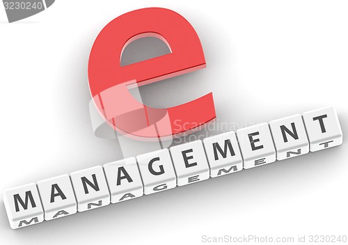 Image of e management