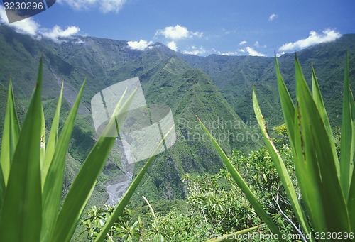 Image of AFRICA FRANCE LA REUNION