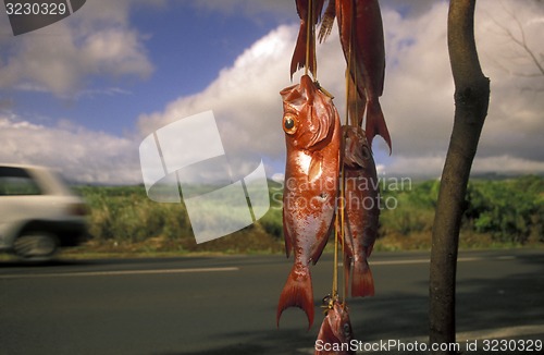 Image of AFRICA FRANCE LA REUNION