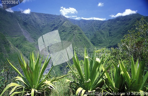 Image of AFRICA FRANCE LA REUNION