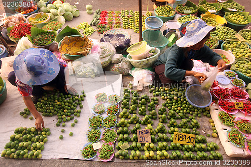 Image of ASIA THAILAND CHIANG RAI