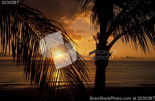 Image of AFRICA FRANCE LA REUNION