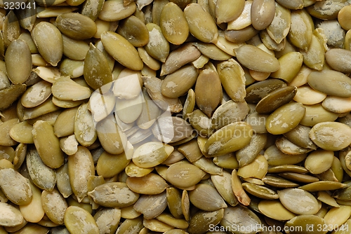 Image of Pupkin Seeds