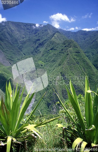 Image of AFRICA FRANCE LA REUNION