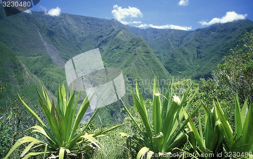 Image of AFRICA FRANCE LA REUNION