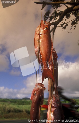 Image of AFRICA FRANCE LA REUNION