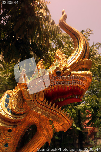 Image of ASIA THAILAND CHIANG RAI