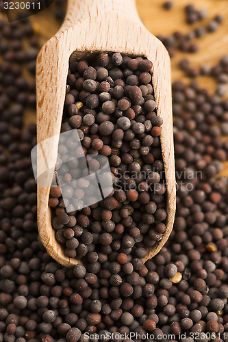 Image of Brown mustard seeds