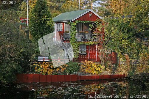 Image of Allotment