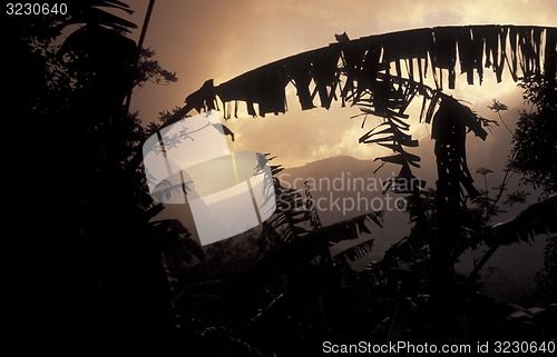 Image of AFRICA COMOROS ANJOUAN