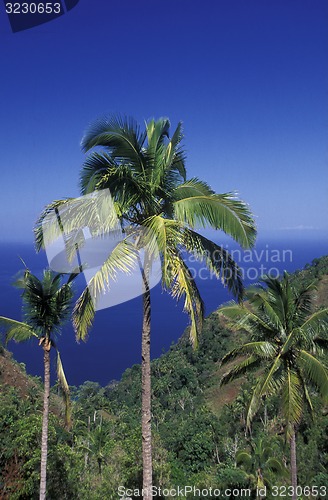 Image of AFRICA COMOROS ANJOUAN