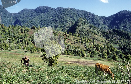Image of AFRICA COMOROS ANJOUAN