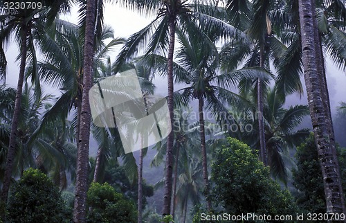Image of AFRICA COMOROS ANJOUAN