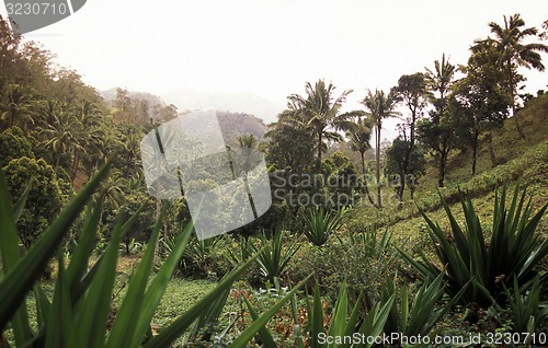 Image of AFRICA COMOROS ANJOUAN