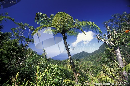 Image of AFRICA COMOROS ANJOUAN