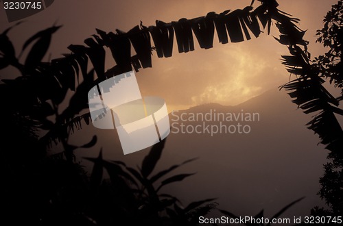 Image of AFRICA COMOROS ANJOUAN
