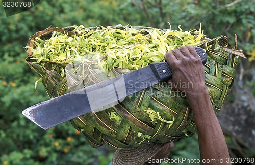 Image of AFRICA COMOROS ANJOUAN