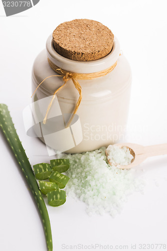 Image of aloe vera and sea salt