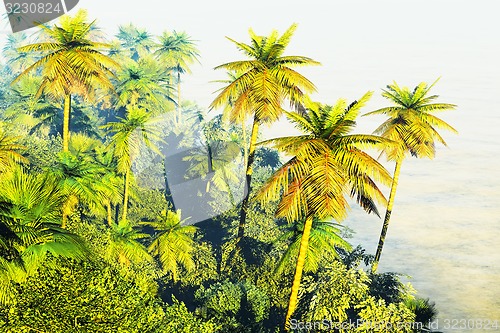 Image of Beautiful palm trees