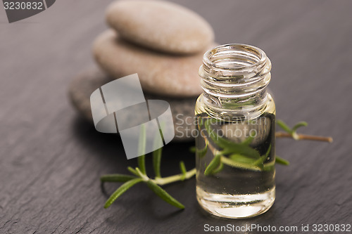 Image of Essential oil with rosemary and fresh green leaves 