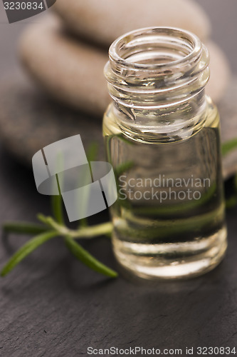 Image of Essential oil with rosemary and fresh green leaves 