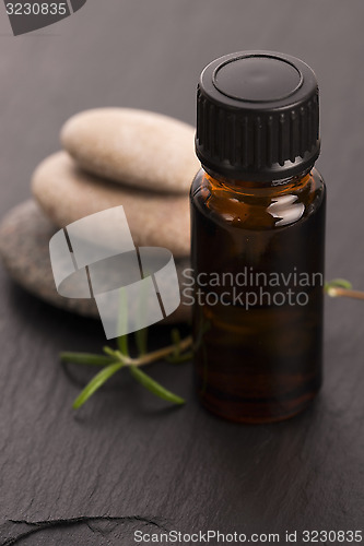 Image of Essential oil with rosemary and fresh green leaves 