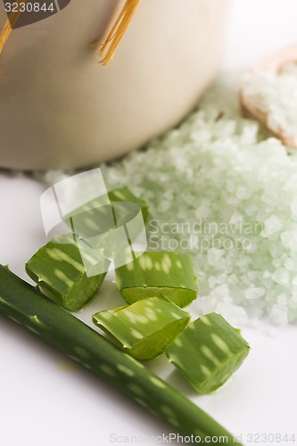 Image of aloe vera and sea salt