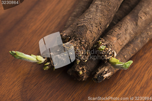 Image of salsify vegetables on wood 