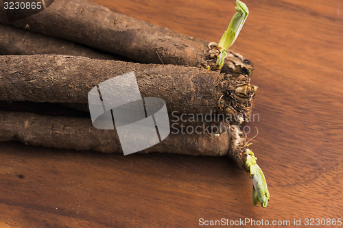 Image of salsify vegetables on wood 