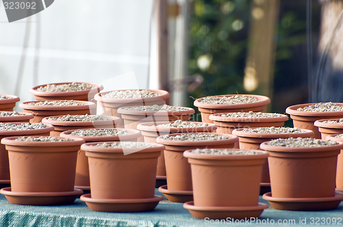 Image of Clay pots