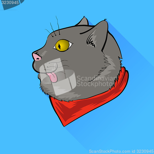 Image of Grey Cat