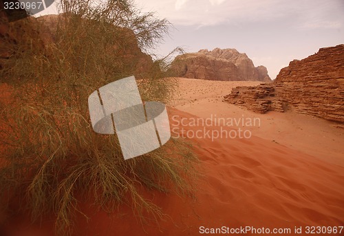 Image of ASIA MIDDLE EAST JORDAN WADI RUM