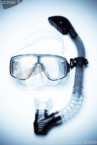 Image of Snorkeling