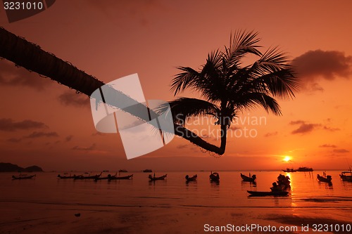 Image of ASIA THAILAND KO TAO