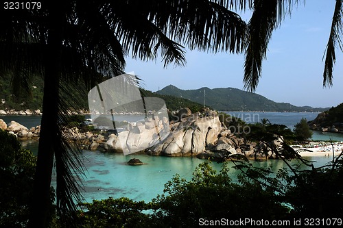 Image of ASIA THAILAND KO TAO ISLAND KO NANG YUAN